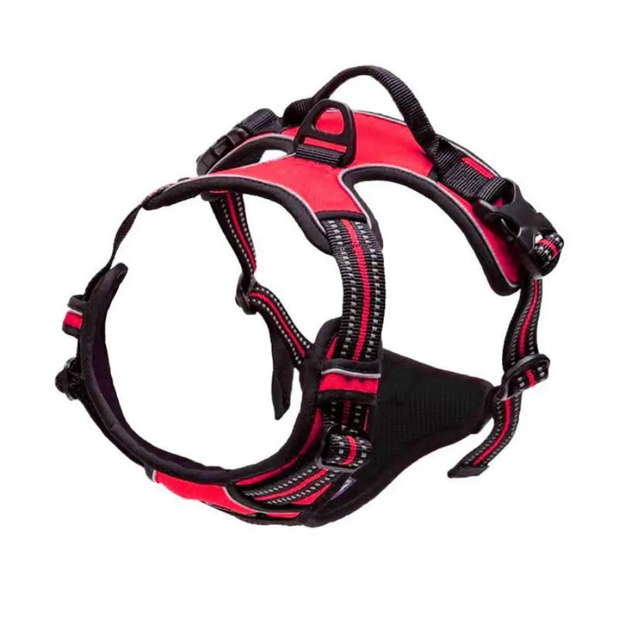 Harnais Anti-Traction Chien Réfléchissant – Confort & Contrôle