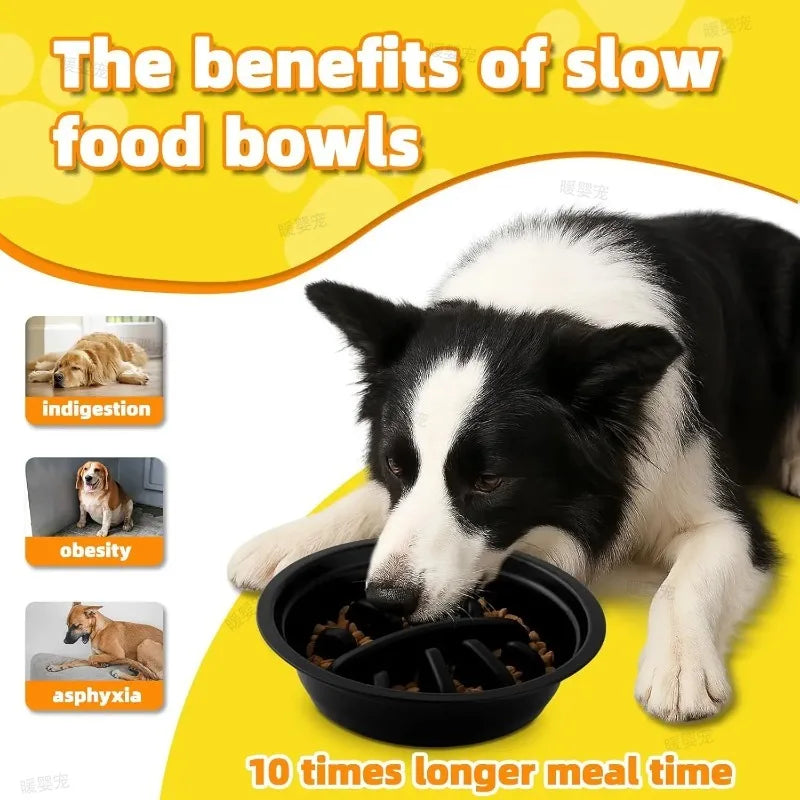 Mangeoire surélevée réglable pour chien avec 2 bols inox