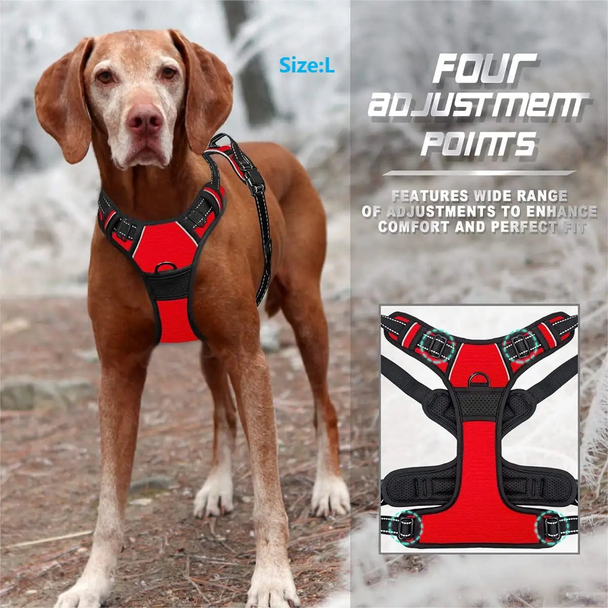 Harnais anti-traction réfléchissant pour chien CAILLANOU - vue 4